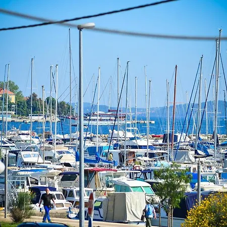 Bobo Zadar
