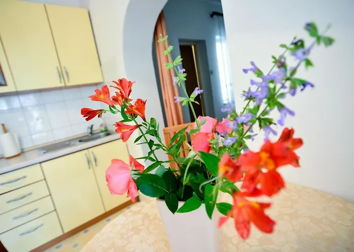 Bobo Apartamento *