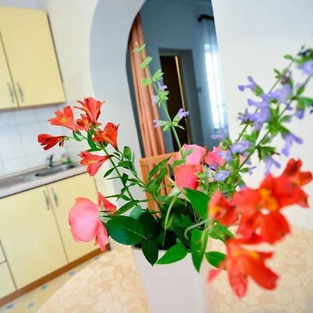 Bobo Apartment *