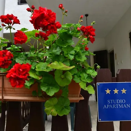 Апартаменты Bobo *