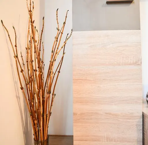 Bobo شقة زادار